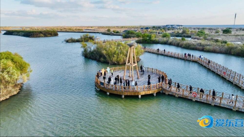 最顶尖的中 最顶尖的中